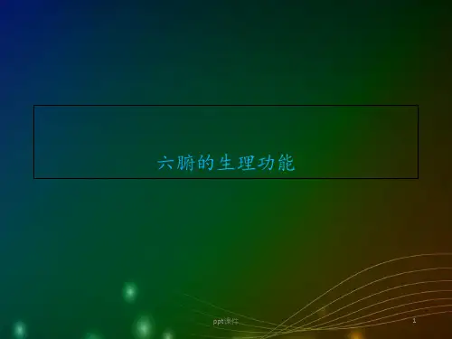 藏象学说--六腑  ppt课件