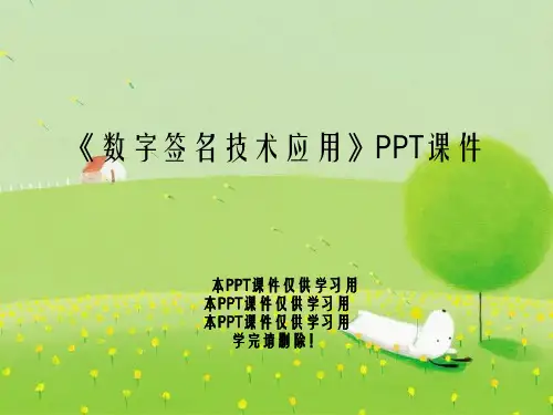 《数字签名技术应用》PPT课件