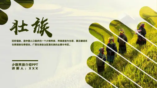 少数民族壮族民俗风俗介绍PPT