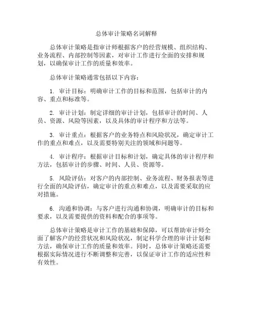 总体审计策略名词解释