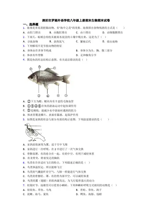 深圳市罗湖外语学校八年级上册期末生物期末试卷