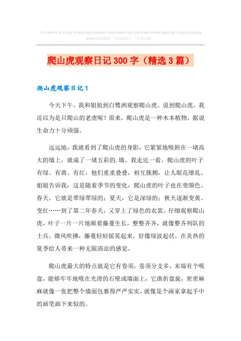 爬山虎观察日记300字(精选3篇)