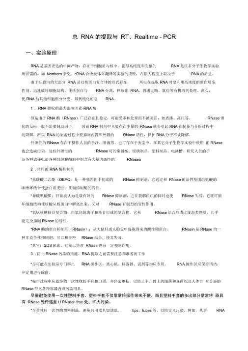 总RNA的提取与RT、Realtime-PCR