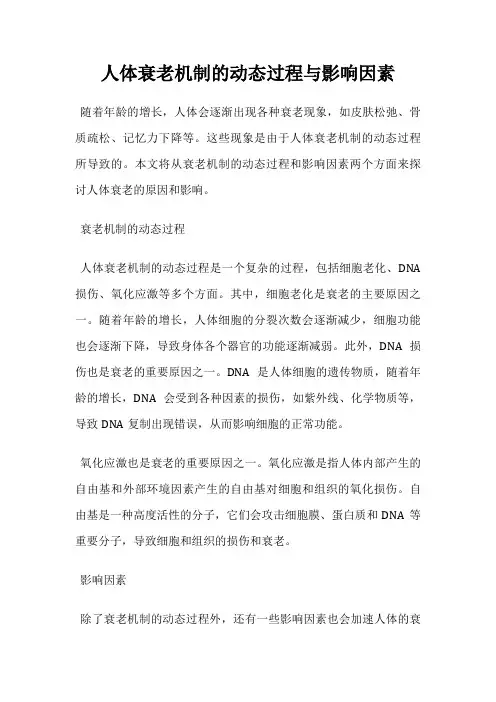 人体衰老机制的动态过程与影响因素