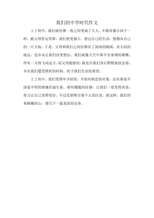 我们的中学时代作文
