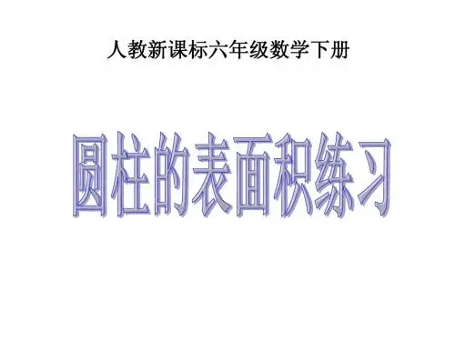 2.3.人教新课标数学六年级下册《圆柱的表面积练习》