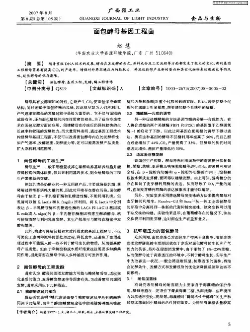 面包酵母基因工程菌