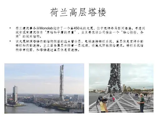 高层建筑案例分析ppt课件