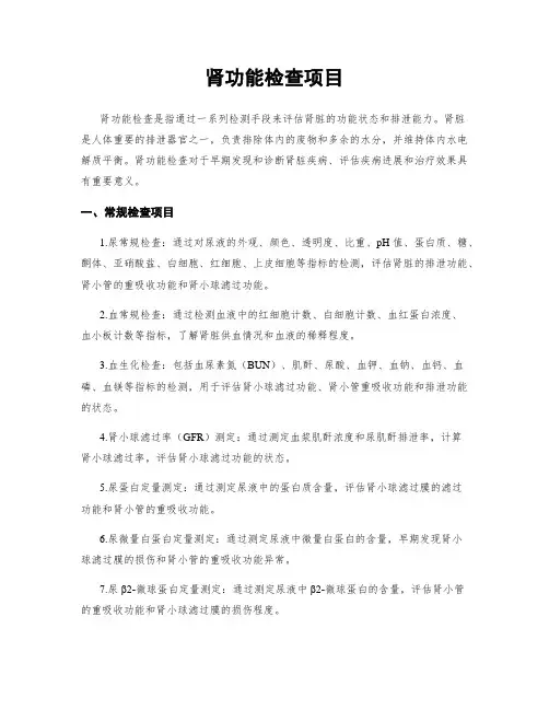 肾功能检查项目