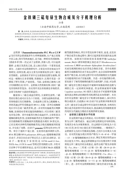 金铁锁三萜皂苷生物合成及分子机理分析