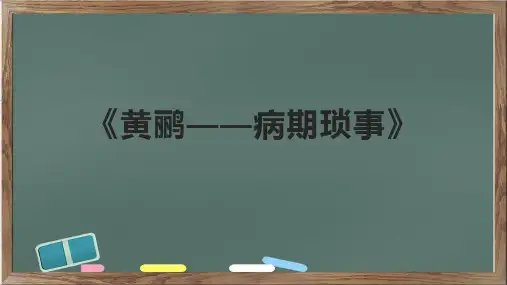 《黄鹂——病期琐事》课件