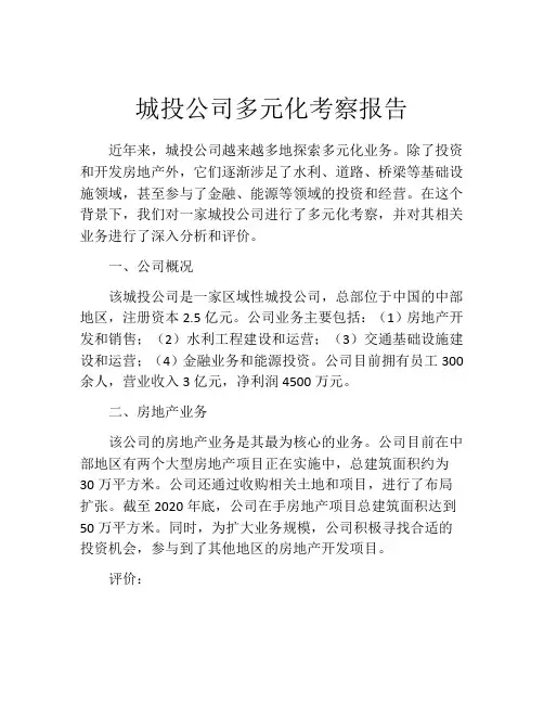 城投公司多元化考察报告