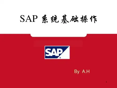 SAP基础操作通用手册(共30张PPT)