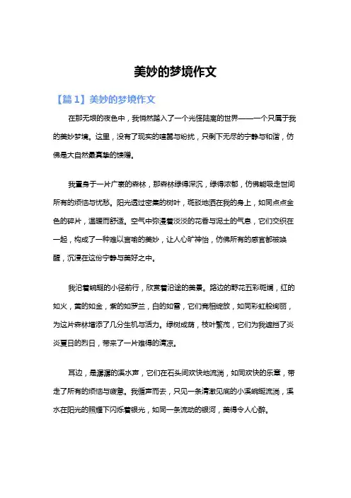 美妙的梦境作文