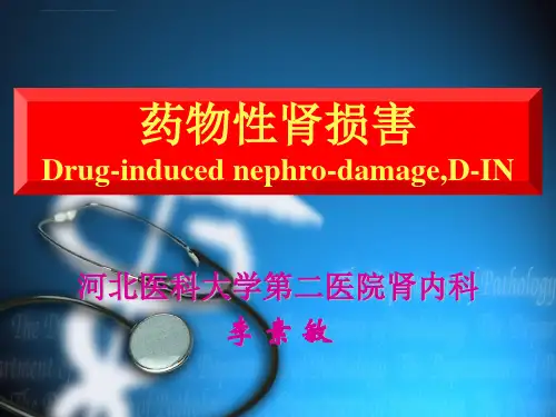 药物性肾损害李素敏ppt课件