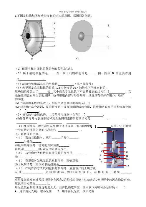 七年级上册生物识图题总复习