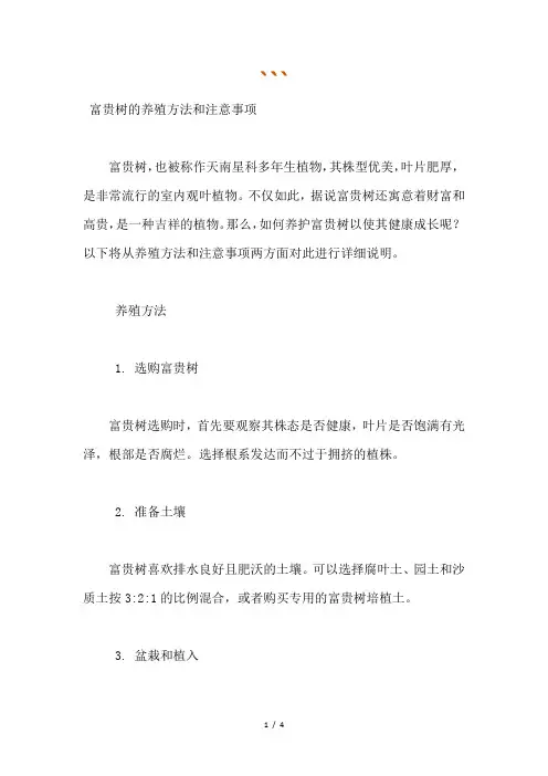 富贵树的养殖方法和注意事项