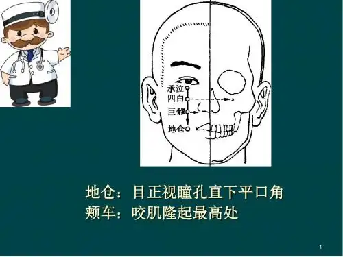 针灸穴位ppt医学课件