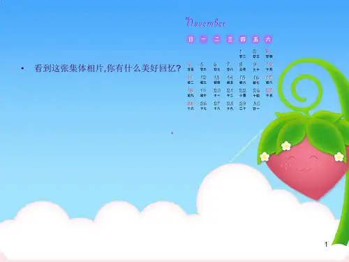《感受集体的温暖》教学ppt课件