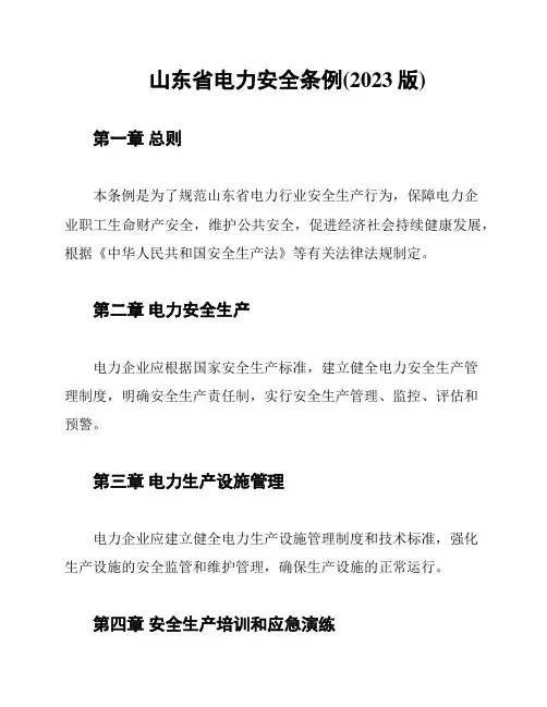 山东省电力安全条例(2023版)