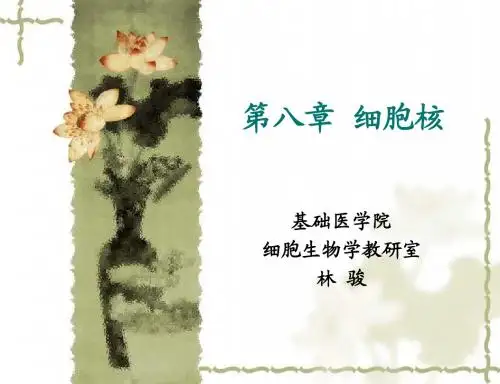 第8章 细胞核-linjun(1)