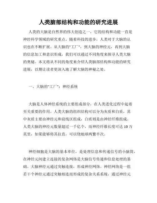 人类脑部结构和功能的研究进展