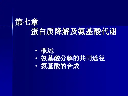 浙江大学王镜岩生物化学甲上第07章蛋白质降解及氨基酸代谢-PPT精品文档14页