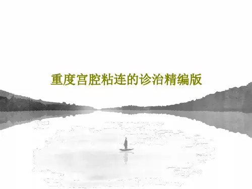 重度宫腔粘连的诊治精编版46页PPT
