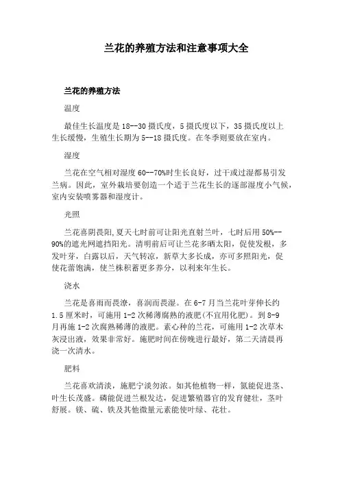 兰花的养殖方法和注意事项大全