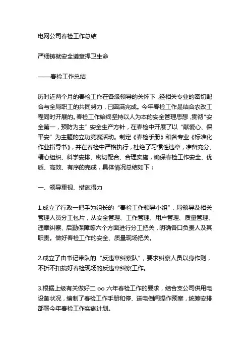 电网公司春检工作总结 精品
