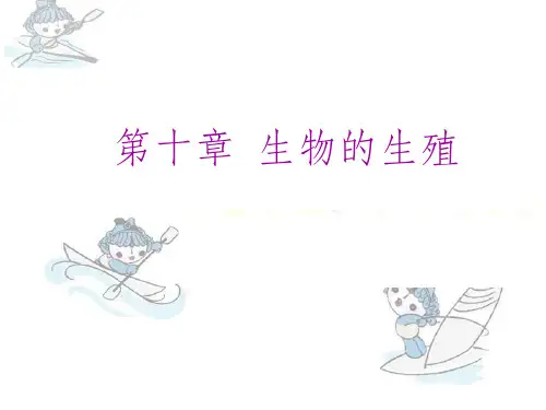 《生物的生殖》PPT课件