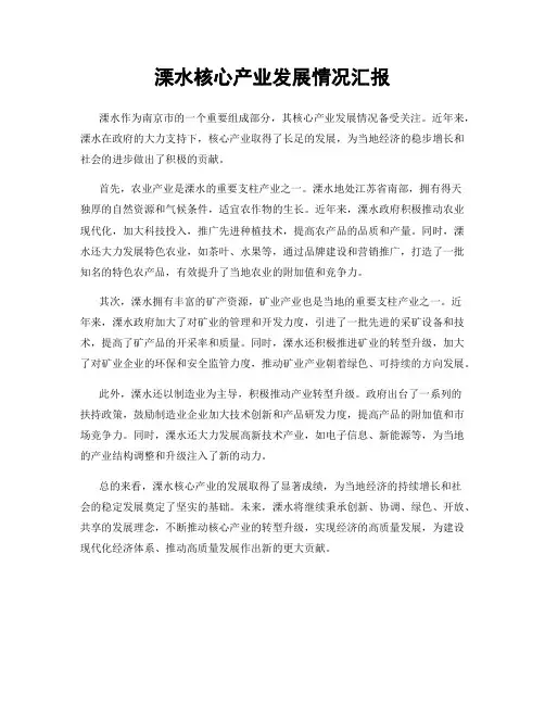溧水核心产业发展情况汇报