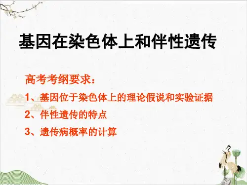 【高考】生物一轮复习基因在染色体上和伴性遗传ppt课件