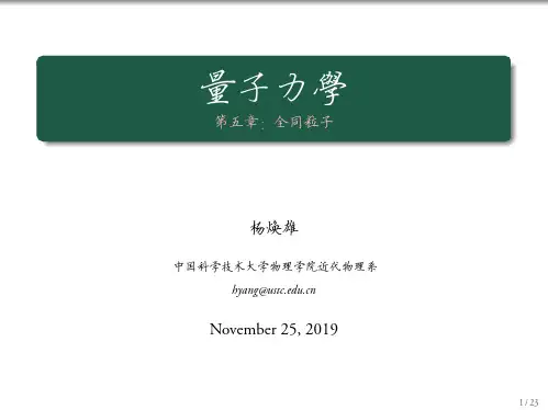 量子力学第五章全同粒子
