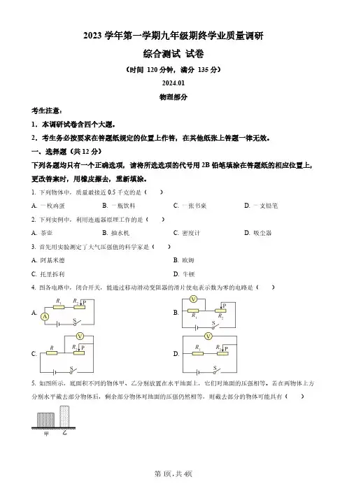 2024年上海市青浦区中考一模物理试题及解析