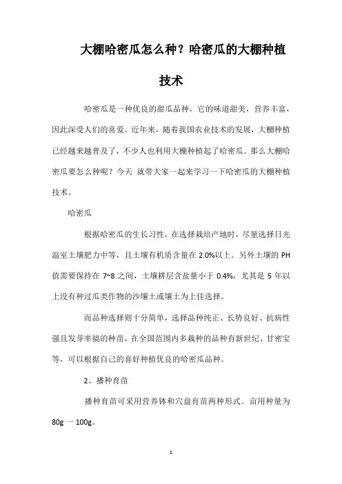 大棚哈密瓜怎么种？哈密瓜的大棚种植技术