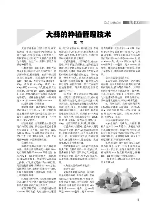大蒜的种植管理技术
