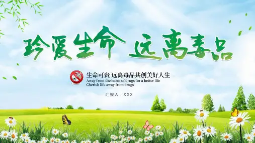 珍爱生命远离毒品禁毒宣传(完美版)ppt