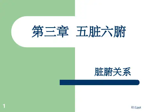 人体五脏六腑PPT课件