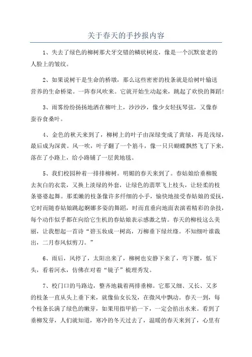 关于春天的手抄报内容