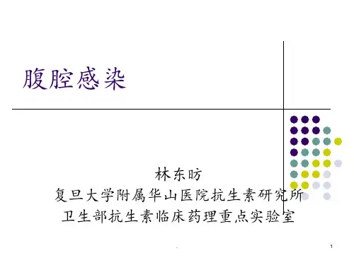 腹腔内感染PPT课件