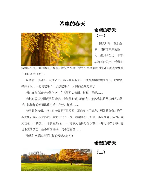 希望的春天(共10篇)