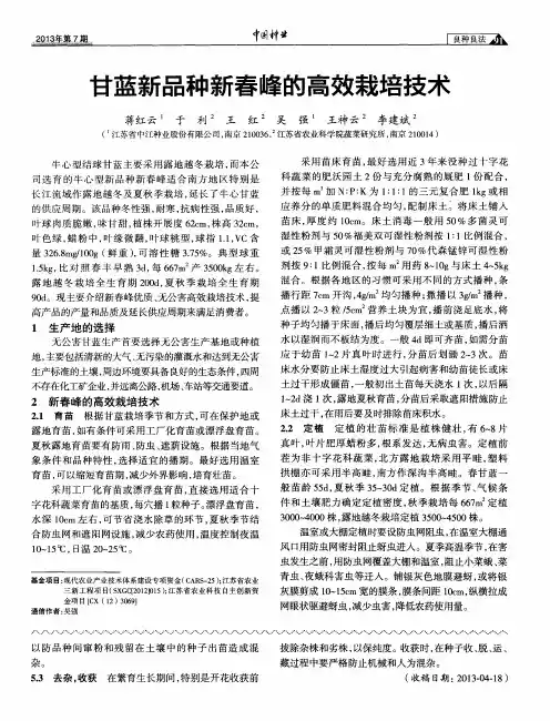 甘蓝新品种新春峰的高效栽培技术