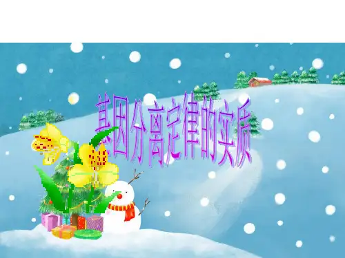 基因分离定律的实质ppt教学课件