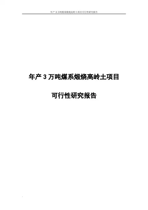 年产3万吨煤系煅烧高岭土项目可行性研究报告