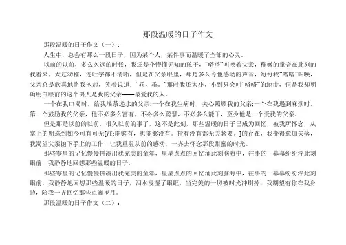 那段温暖的日子作文12篇