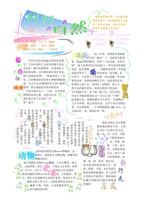 电子小报 成品小报 学生小报 A4竖排2页 回归自然