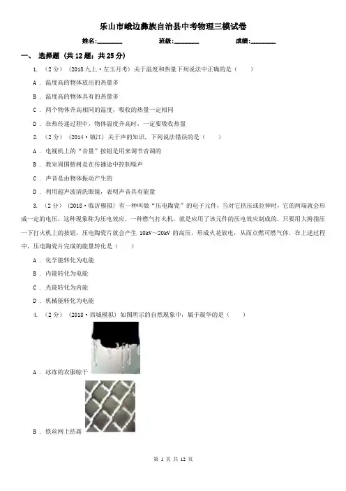 乐山市峨边彝族自治县中考物理三模试卷