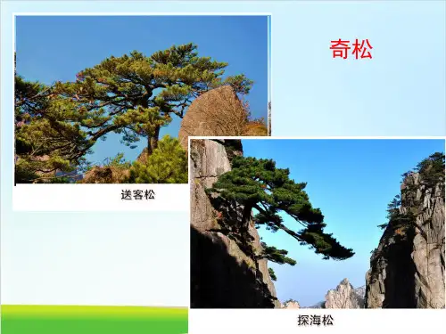 黄山奇石ppt优秀课件