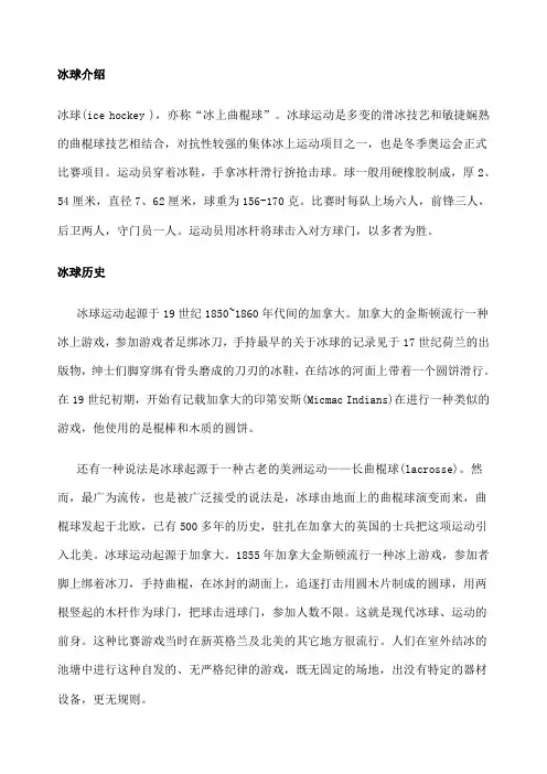 冰球知识普及